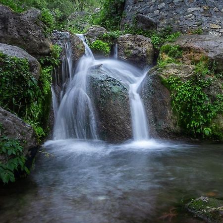 Babutaal Resort Csakráta Kültér fotó