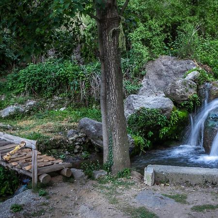 Babutaal Resort Csakráta Kültér fotó