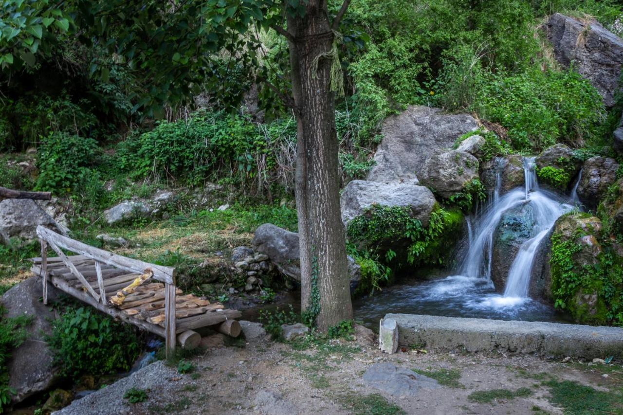 Babutaal Resort Csakráta Kültér fotó