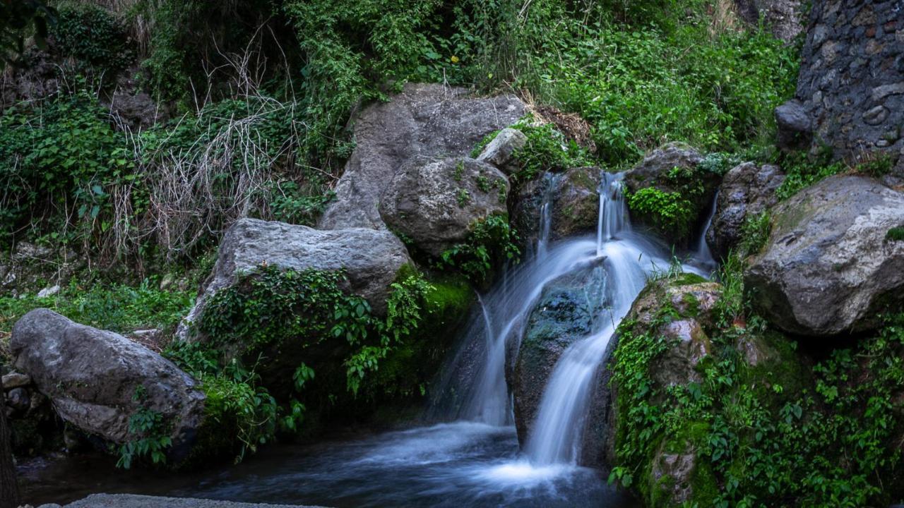 Babutaal Resort Csakráta Kültér fotó